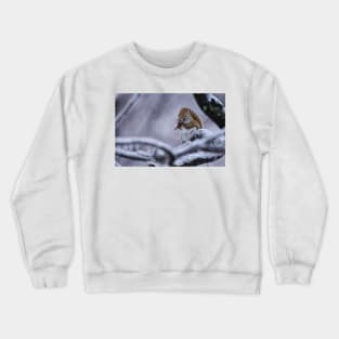 Winter Squrrel Crewneck Sweatshirt